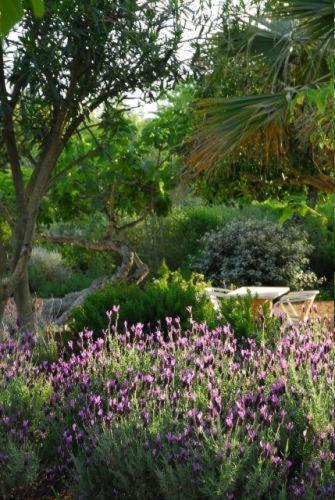 Quinta Da Lua Bed & Breakfast Tavira Exterior photo